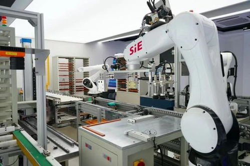 賽意信息2020年度業績說明會 智能制造業務高速增長，研發投入驅動智能機器人創新發展