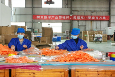 開門紅！天貓雙11首日引爆“廠貨”消費(fèi)潮，日用百貨產(chǎn)業(yè)帶成交額同比激增17倍